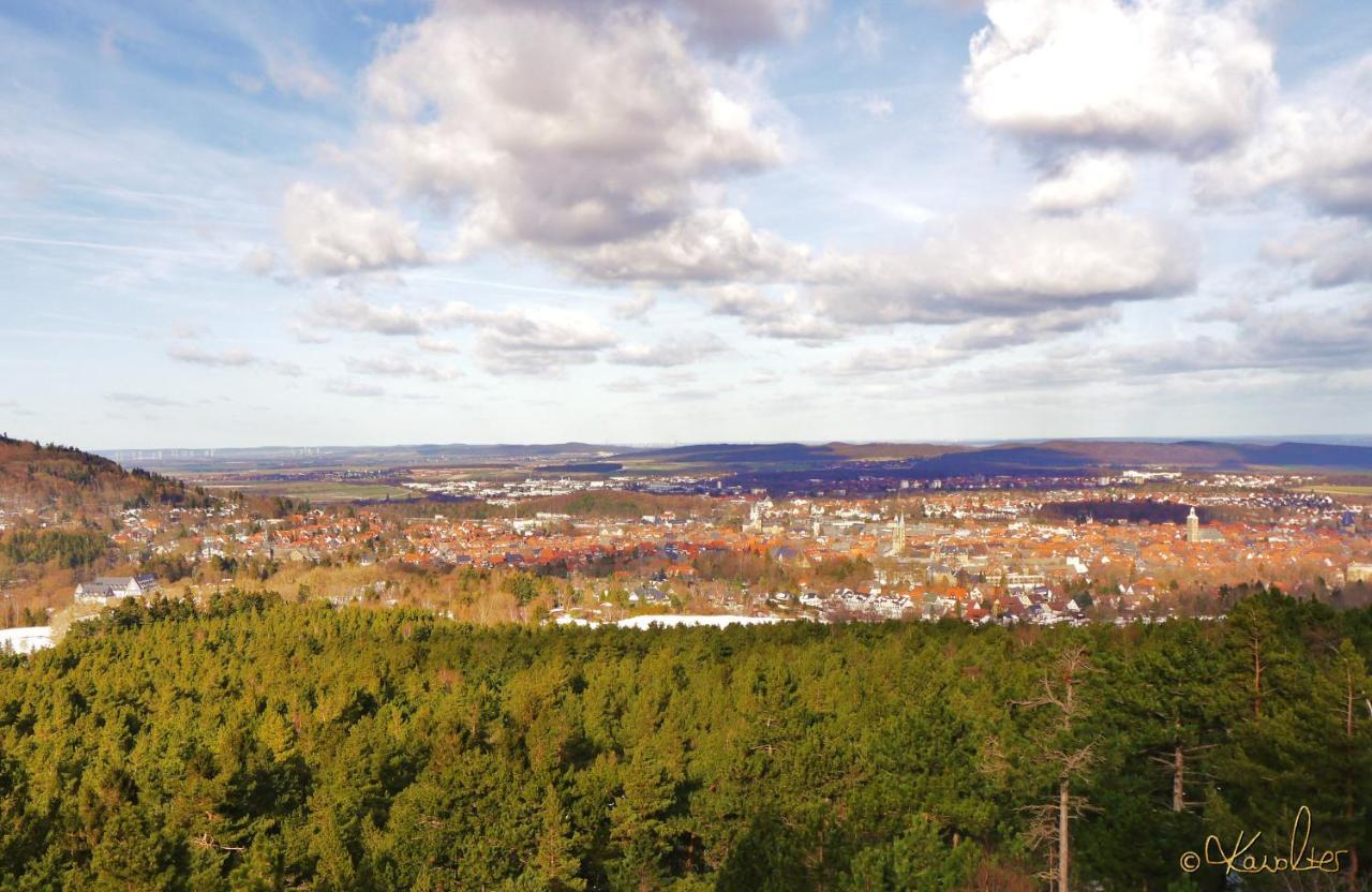 Appartamento Haus-Wolter Goslar Esterno foto